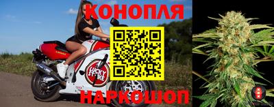 гидра Кинель