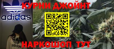гидра Кинель