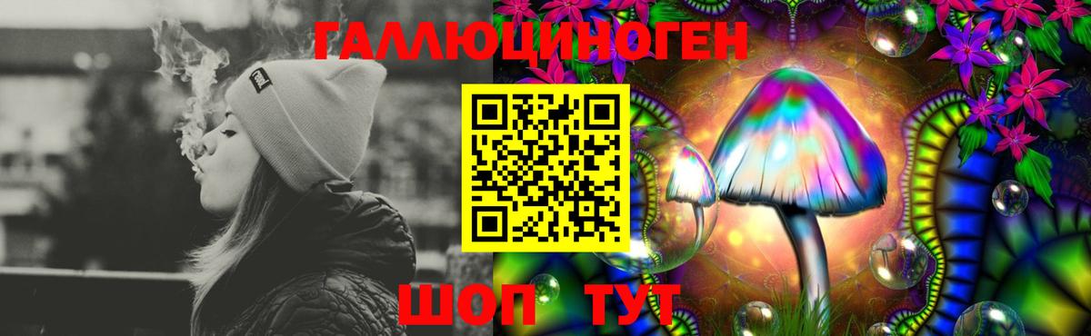 Галлюциногенные грибы Psilocybe  Псилоцибиновые грибы Psilocybine cubensis  Комсомольск-на-Амуре  Вход с VPN 